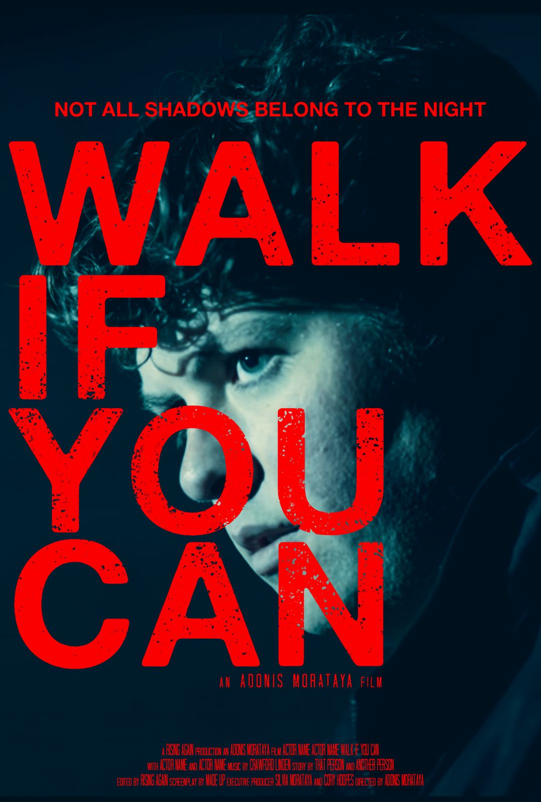 Walk If You Can poster